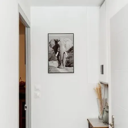 Apartment Acacia Magnifique T2 Renove. *