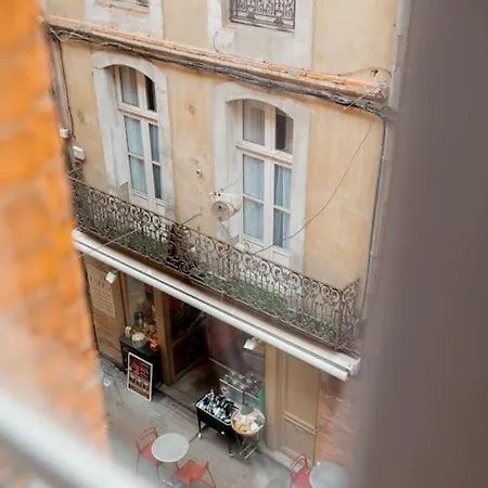 Acacia Magnifique T2 Renove. Montauban