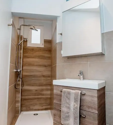 Acacia Magnifique T2 Renove. Montauban