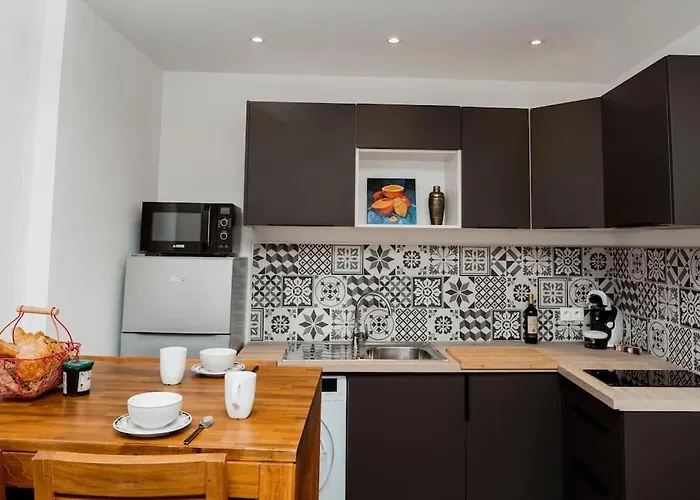 Acacia Magnifique T2 Renove. * Montauban