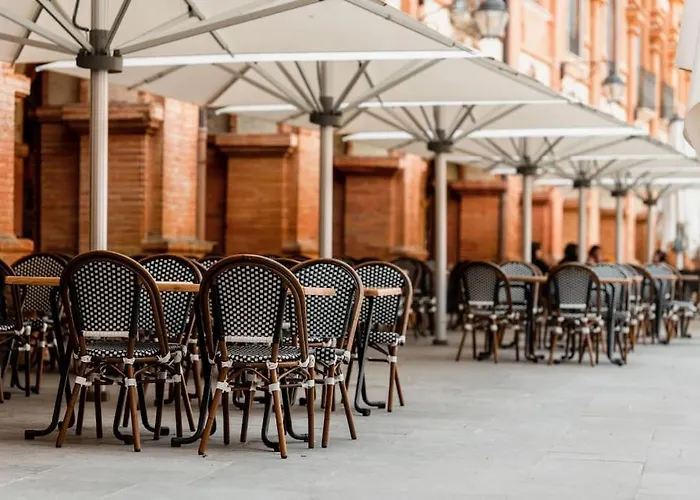 Acacia Magnifique T2 Renove. Appartement